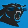 Carolina Panthers' Twitter/X photo