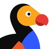 The Dodo's YouTube photo