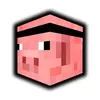 PigPong's TikTok photo