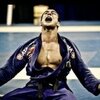 Bernardo Faria BJJ Fanatics' Instagram photo