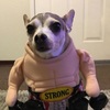 NoahWPlays' YouTube photo