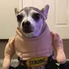 NoahWPlays' TikTok photo