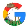Google India's YouTube photo