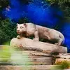 Penn State University's TikTok photo