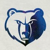 Memphis Grizzlies' YouTube photo