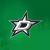 Dallas Stars' TikTok photo