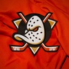 Anaheim Ducks' YouTube photo