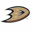 Anaheim Ducks' Pinterest photo