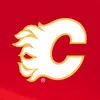 Calgary Flames' TikTok photo