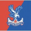 Crystal Palace Football Club's LinkedIn photo