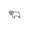 Derby County Football Club's TikTok photo