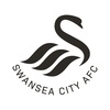 Swansea City AFC's YouTube photo