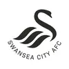 Swansea City AFC's TikTok photo