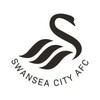 Swansea City AFC's LinkedIn photo
