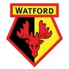 Watford FC's LinkedIn photo
