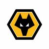Wolves' Instagram photo