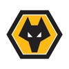 Wolves' YouTube photo