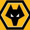 Wolves' Pinterest photo