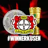 Bayer 04 Leverkusen's TikTok photo