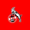 1. FC Köln | Bundesliga's TikTok photo
