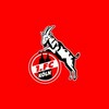 1. FC Köln | Bundesliga's LinkedIn photo