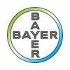 Bayer's Pinterest photo