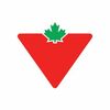 Canadian Tire's Pinterest photo