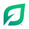 LendingTree's YouTube photo