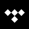 TIDAL's TikTok photo