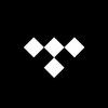 TIDAL's Twitter/X photo